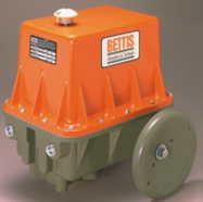 EM840F-48-C4-02-001 BETTIS 120VAC NEMA4 ELECTRIC ACTUATOR