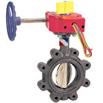 6" NIBCO UL/FM LUG BUTTERFLY VALVE W/SUPERVISORY SWITCHES LD-3510-8